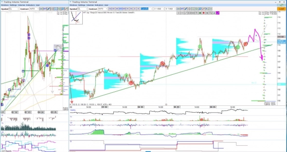 COT reports COT reports