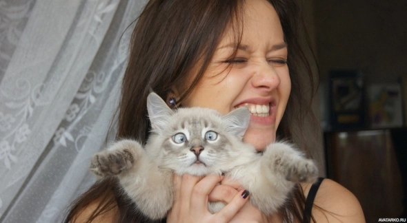 Опять рано встал сегодня (блог 45)