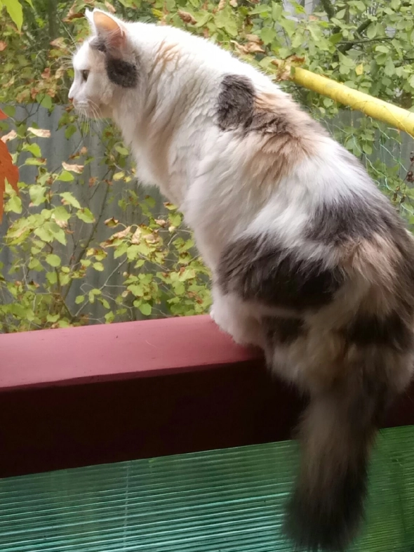 Тихая бумага (Блог 225, 12+) Тихая бумага (Блог 225, 12+)