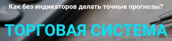 У каждого трейдера своя, индивидуальная ТС.