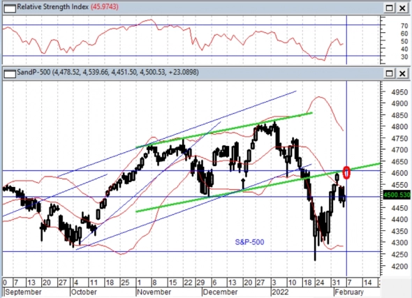 Год спекулянтов
