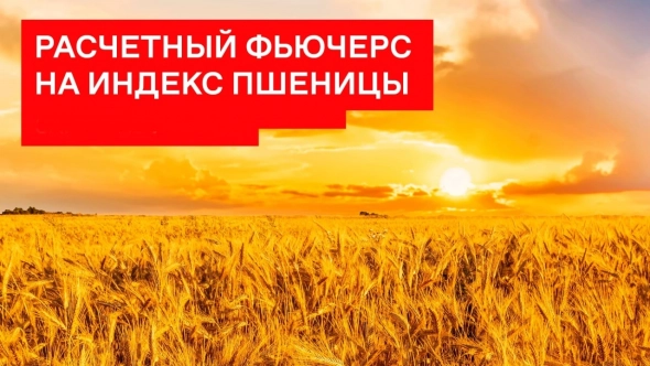 🔔 Скоро стартуют торги фьючерсами и опционами на индекс пшеницы