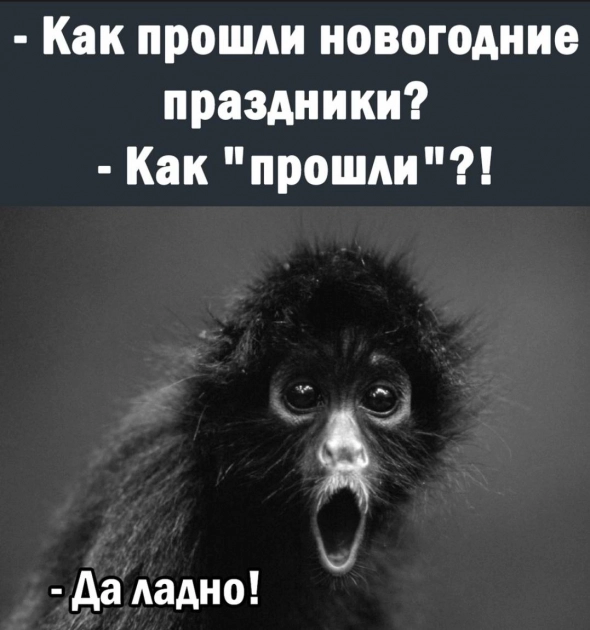 Ленивый Спекулянт. То ли там, то ли здесь.