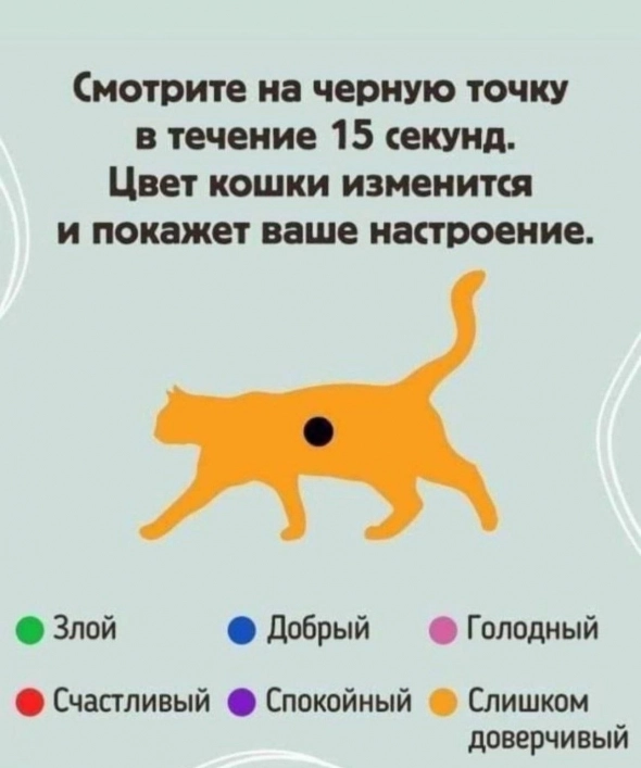 Эффективности на рынке. Пора за дело (фунт)