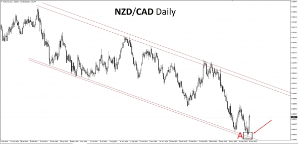 Отличная валютная пара с качественной отработкой - NZD/CAD.