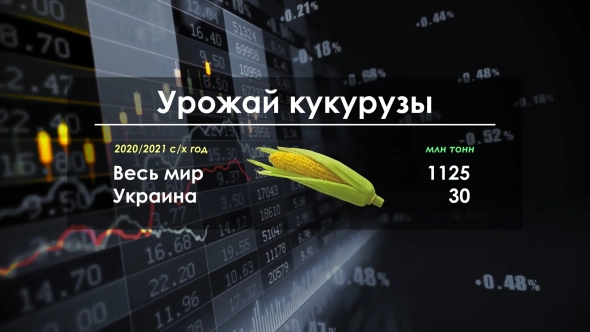Россия выиграла валютную битву / Заводы встречаются друг с другом / Почему дорожает кукуруза?