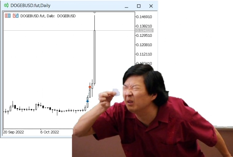 Доги койн сорвался с поводка и убежал...