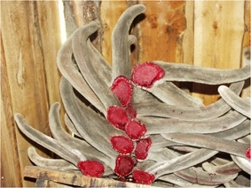 Ванны с отваром из рогов оленей-пант морала  для укрепления организма в столь нелегкое время.