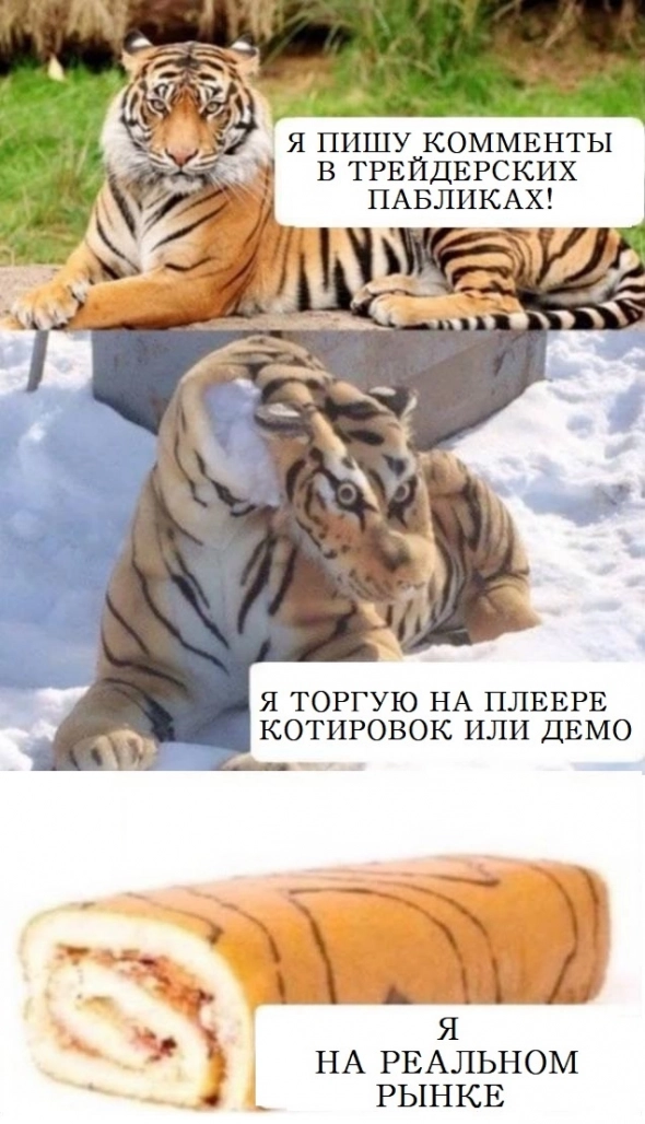 Мемы на сон грядущий