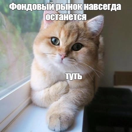 Актуальное