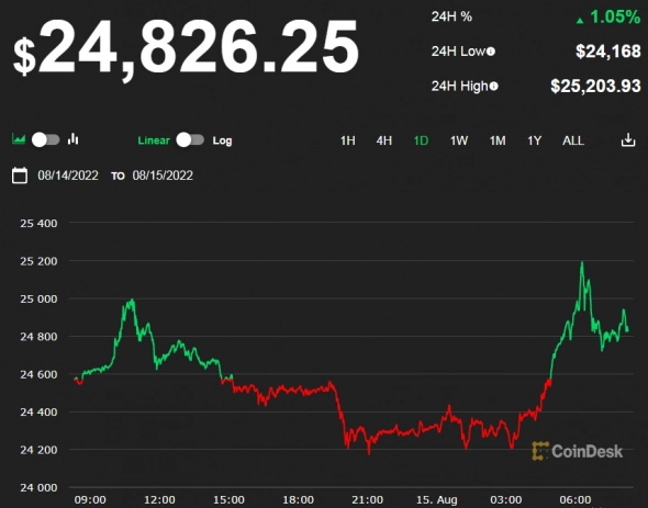 📈Стоимость биткойна поднялась выше $25 тыс 📈Стоимость биткойна поднялась выше $25 тыс