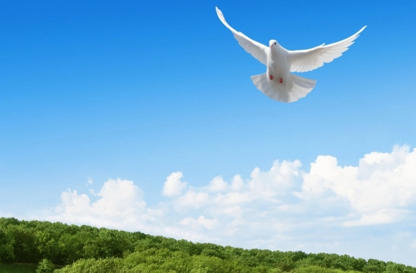 Время возможности для лудоманов.