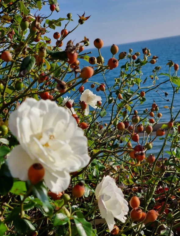 Азия. Пятница.