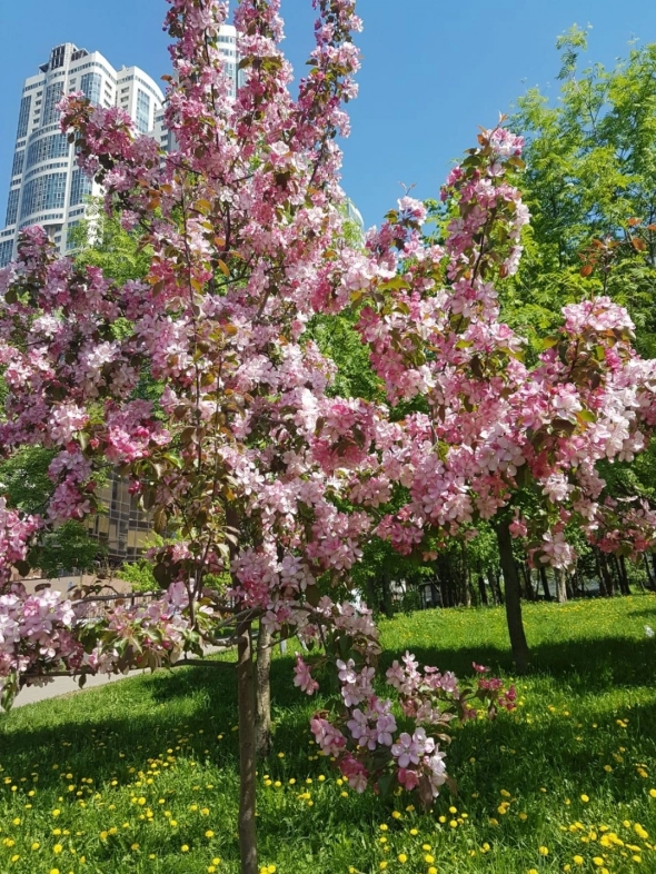 Азия. Четверг.