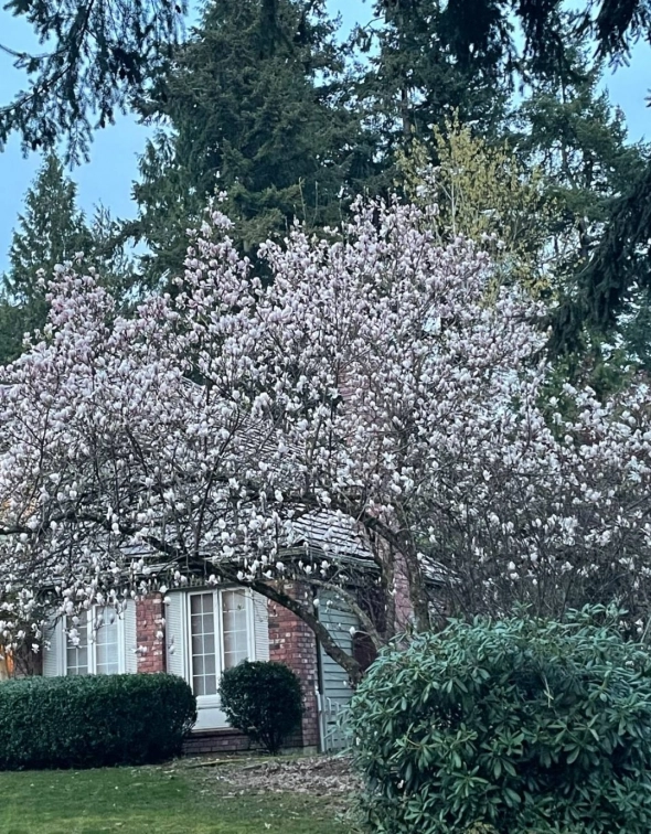 Азия. Понедельник.