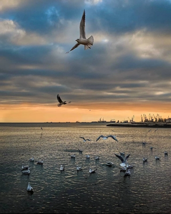 Азия. Понедельник.