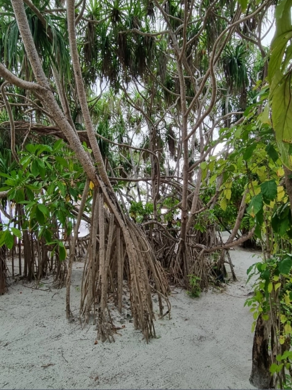 Азия. Пятница.