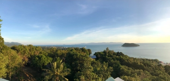 Азия. Среда.