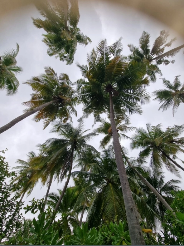 Азия. Четверг.