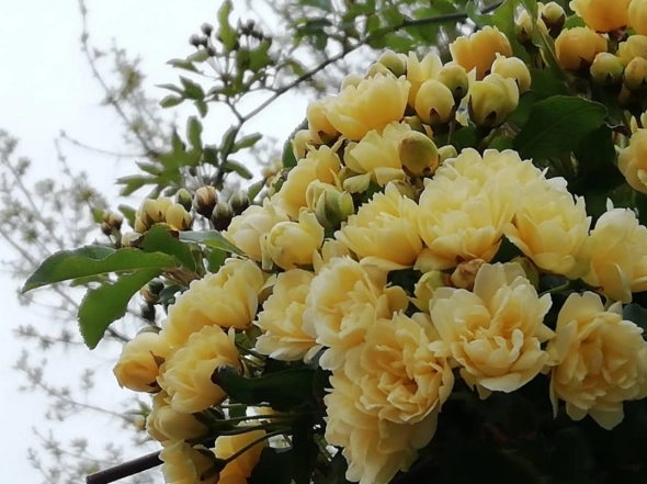 Азия. Пятница.