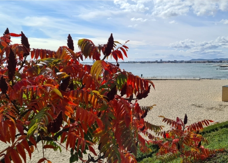 Азия. Вторник.