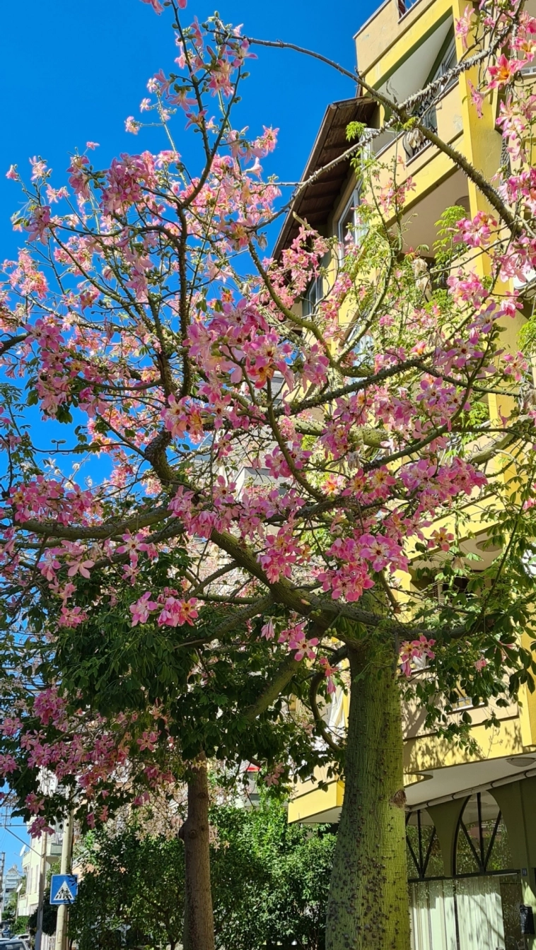 Азия. Понедельник.