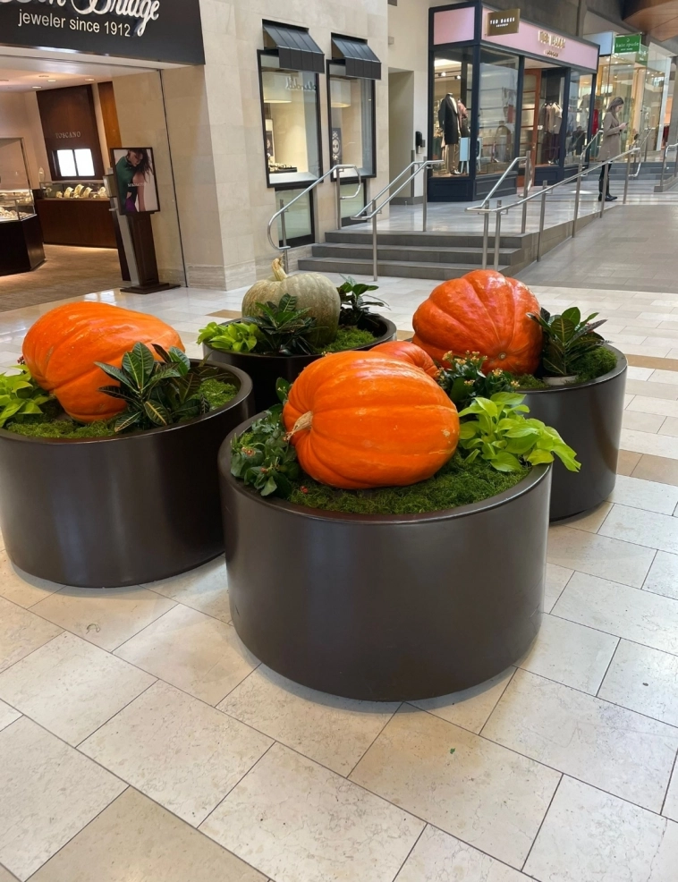 Азия. Понедельник.