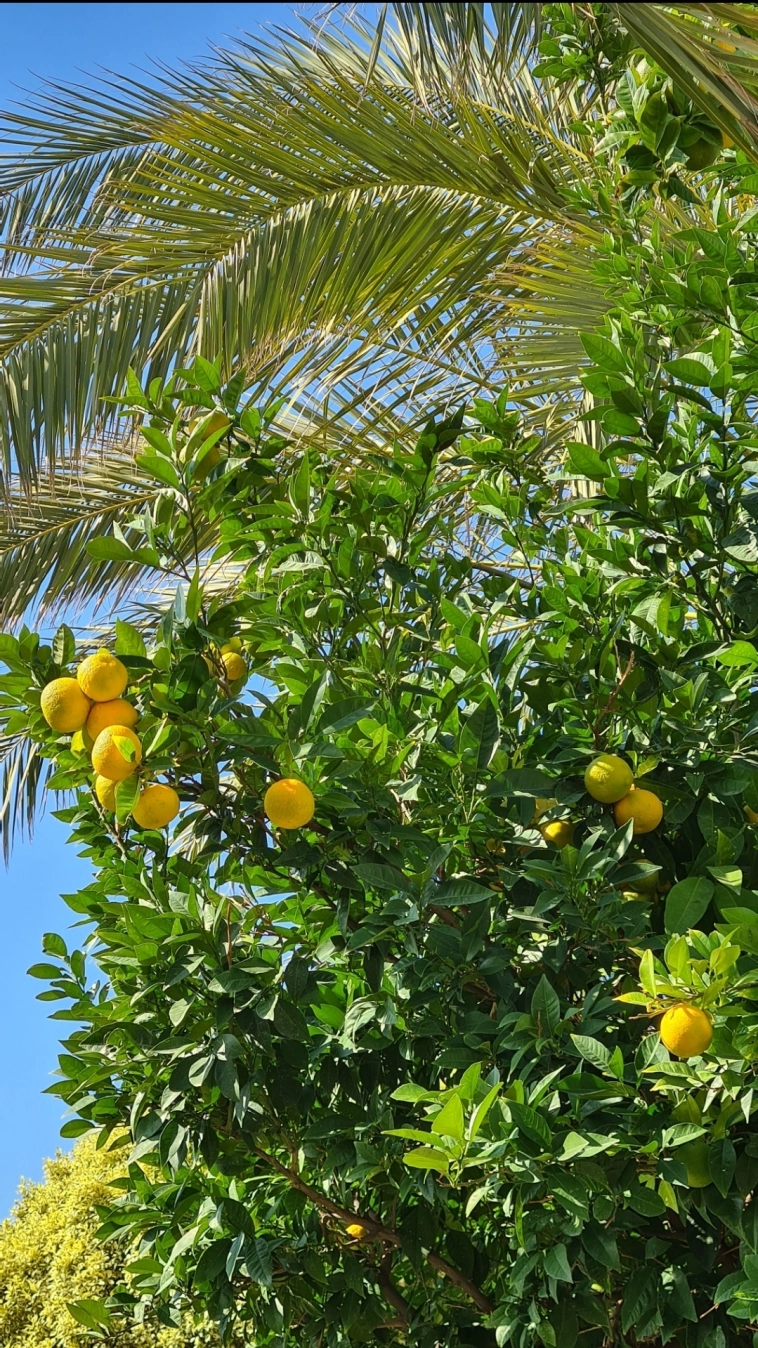 Азия. Четверг.