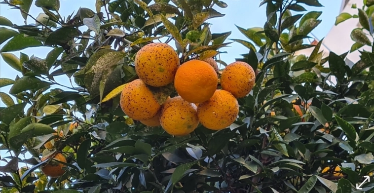 Азия. Понедельник.