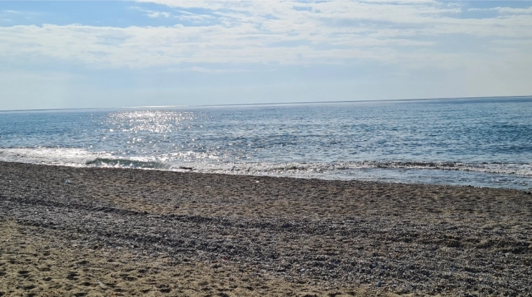 Азия. Среда.