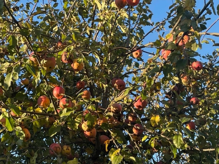 Азия. Понедельник.