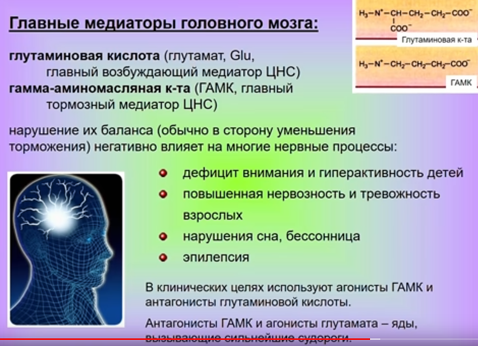 Медиаторы нервной системы таблица. Медиаторы головного мозга. Нейромедиаторы головного мозга. Медиаторы и нейромедиаторы. Кислота при эпилепсии