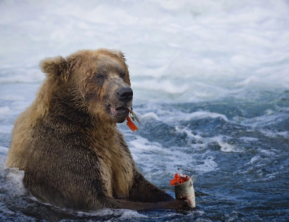 Банк России закончил медвежий праздник