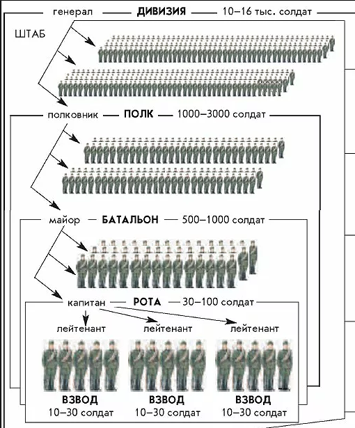Бригада и дивизия в чем разница. Структура армии РФ рота взвод полк батальон.