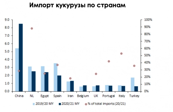 Хлеб — всему голова: наступающий продовольственный кризис Хлеб — всему голова: наступающий продовольственный кризис
