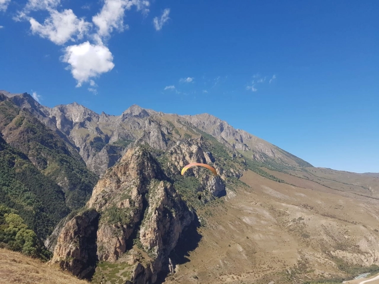 Портфель белорусского жулика(Результаты второго года)