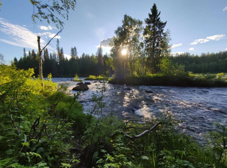 Портфель белорусского жулика(Результаты второго года)