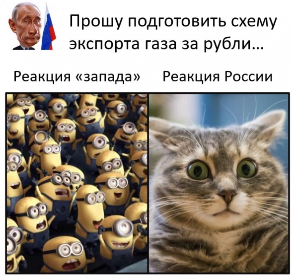 Реакция на "газ за рубли" в одной картинке