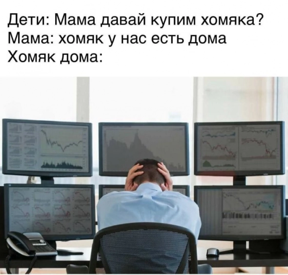 Фондовый рынок Шредингера: почему российский рынок акций сейчас ни жив, ни мертв