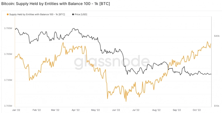 В противовес китам креветки выкупают падение Bitcoin В противовес китам креветки выкупают падение Bitcoin