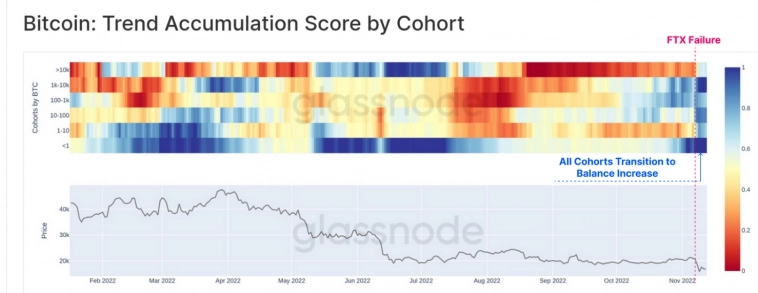 Все скупают Bitcoin: от креветок до институциональных инвесторов