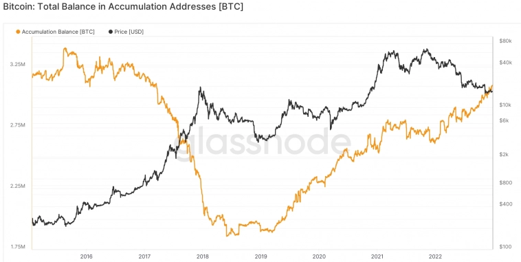 Число ходлеров Bitcoin на новом максимуме