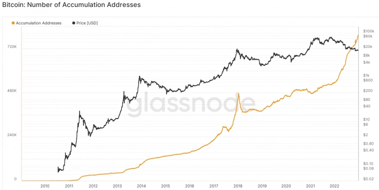 Число ходлеров Bitcoin на новом максимуме