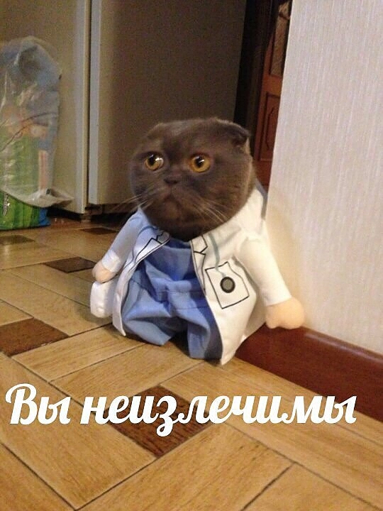 Дата начала мировой войны