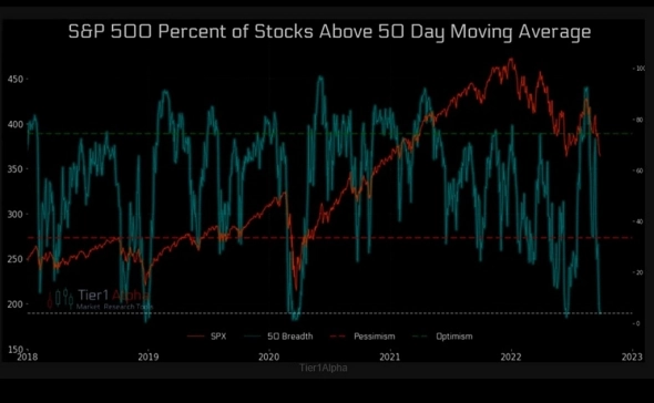 Ралли медвежьего рынка
