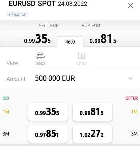 EurUsd  RT Spot 24.08.2022 / Bid - Offer / M.Rate