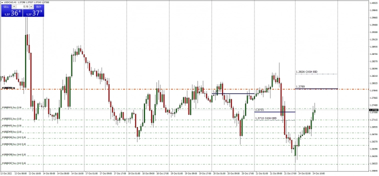 Fx / Daily Fixing Exchange Rates + Cash Bid + USDRUB
