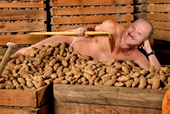 Все любят Архангельскую картошку, итоги дня - в мешках )