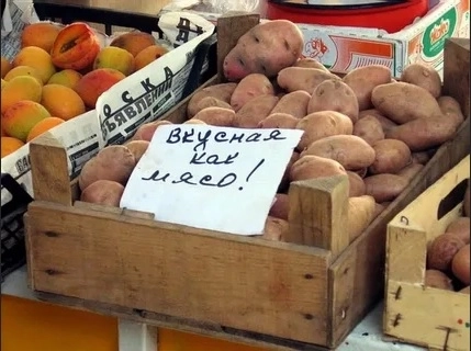 Как истинный Архангелогородец