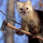 Ярослав Цукерман